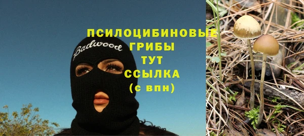 кристаллы Богородицк