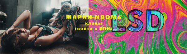 сатива Богородск