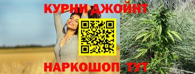 гидра Жуковский
