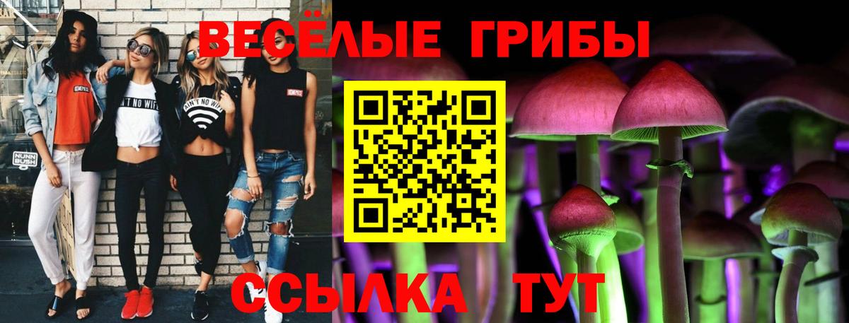 Валуйки  Псилоцибиновые грибы мухоморы  Вход с VPN 